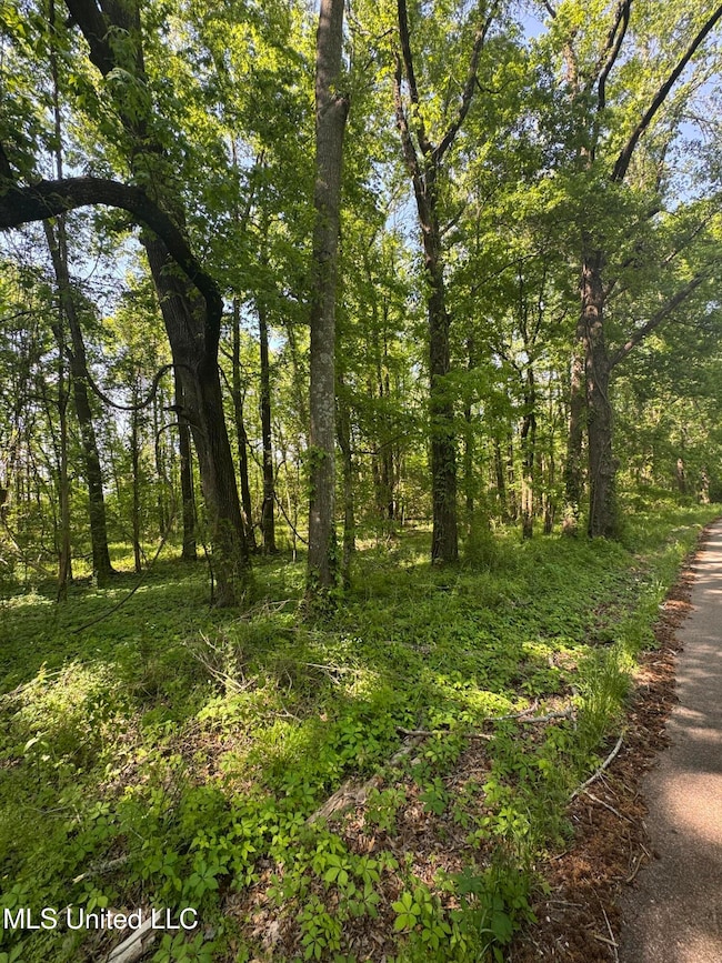 0001 Old Highway 471, Brandon, MS 39042 - photo 4