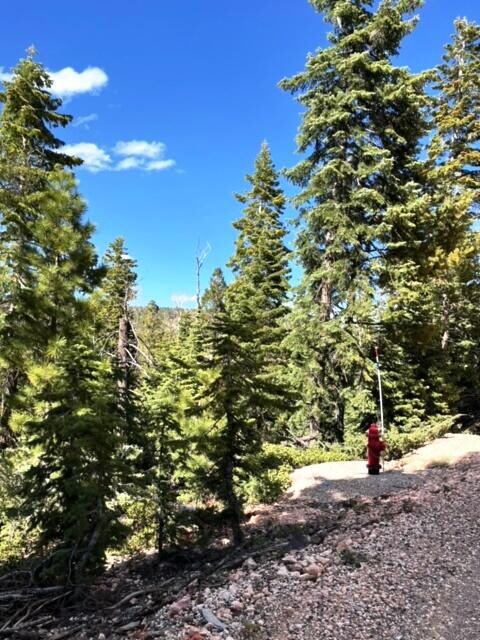 1130 W Big Horn Cir, Duck Creek Village, UT 84762 - photo 7