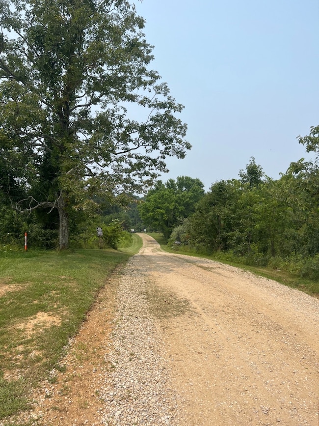 10171 Tanzy Rd, Cannelton, IN 47520 - photo 7