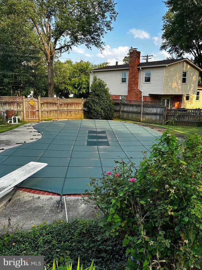 14800 Notley Rd, Silver Spring, MD 20905 - photo 7