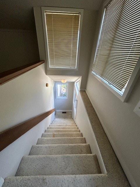 254 Moss Oak Ln, Saint Simons Island, GA 31522 - photo 5