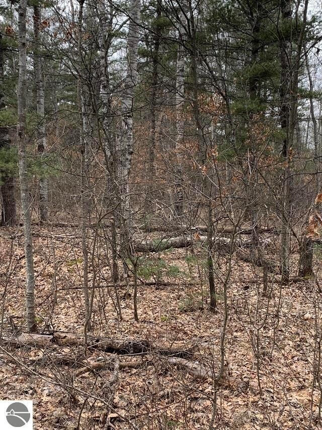 0 Morrison Rd unit 1898517, Alger, MI 48610 - photo 2