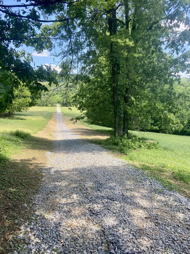 0 Mclaughlin Ln unit RTC2688353, Shelbyville, TN 37160 - photo 4