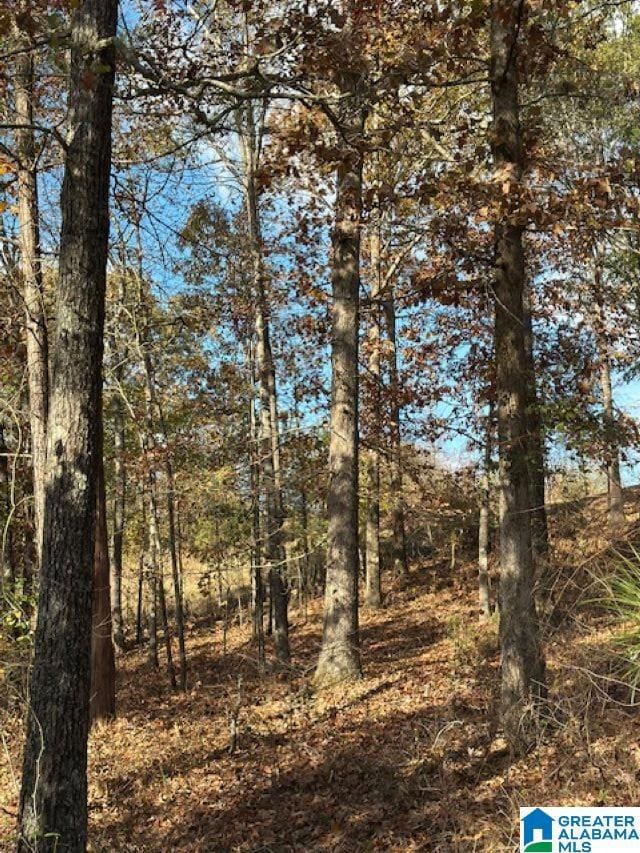 113 Crest Dr, Chelsea, AL 35043 - photo 5