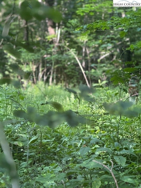 Lot 10 Billy Bob Ln, Creston, NC 28615 - photo 3