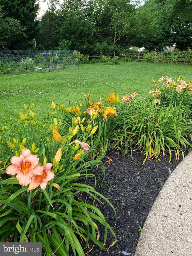 1226 Clearfield Cir, Lutherville Timonium, MD 21093 - photo 2