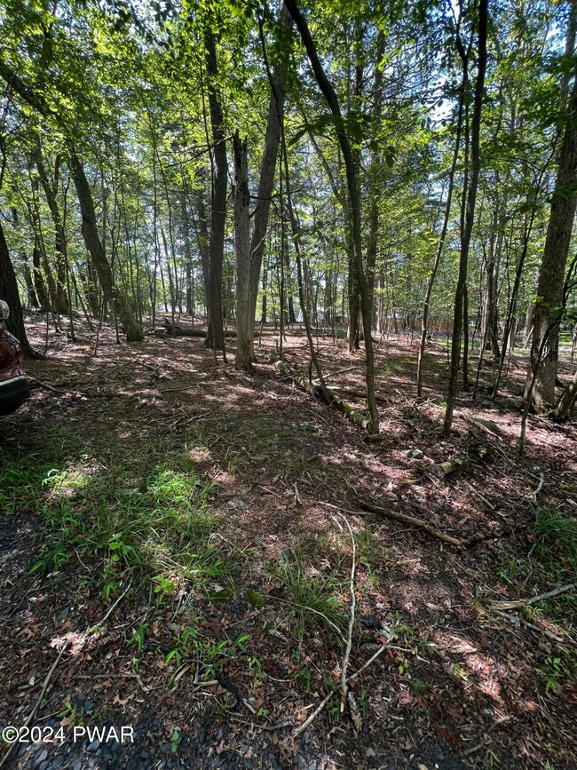 0 Westfall Drive Wild Acres unit PWBPW242293, Dingmans Ferry, PA 18328 - photo 6