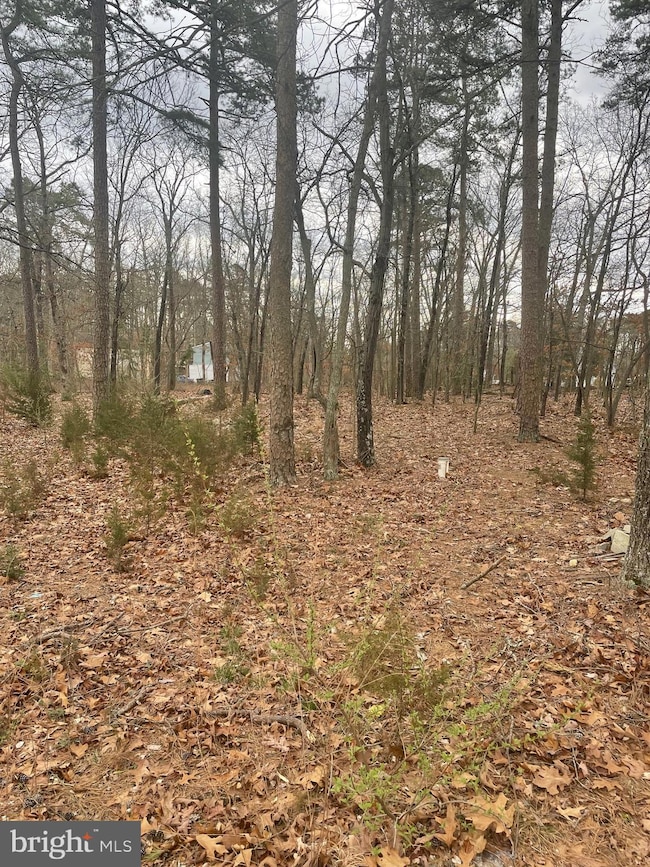 2738 Jackson Rd, Williamstown, NJ 08094 - photo 6