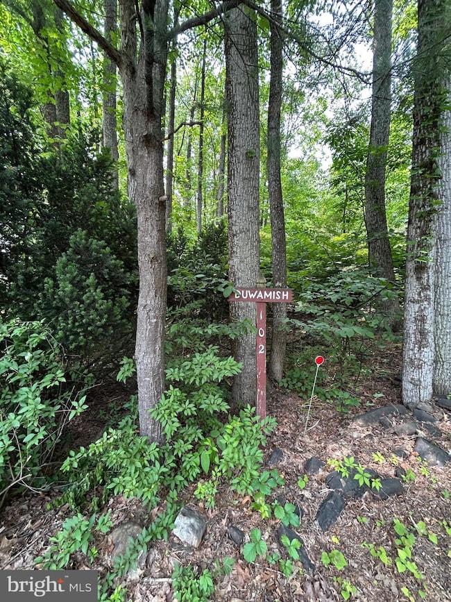 102 Duwamish Trail, Winchester, VA 22602 - photo 2