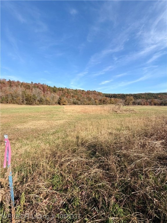 TBD Cr 4730, Hagarville, AR 72839 - photo 6