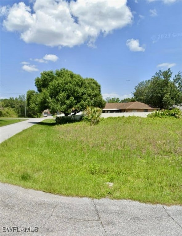 View of yard