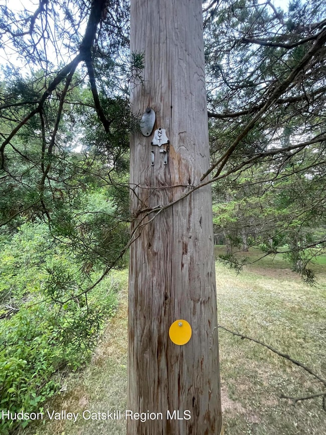 0 Cairo Junction Rd unit 20253145, Catskill, NY 12414 - photo 5