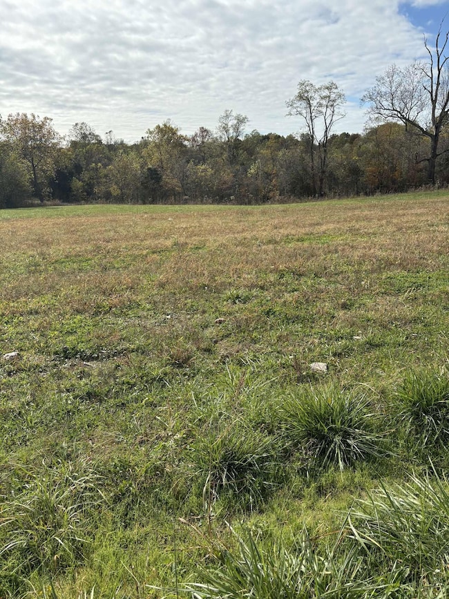 Pine Grove Ch Rd, Vanceburg, KY 41179 - photo 2