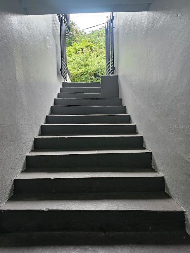 165 Calle Barcelo, Barranquitas, PR 00794 - photo 5