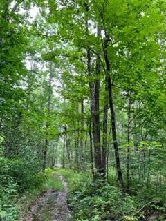 IMG_6183