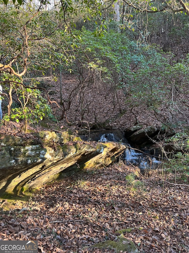 1632 Sperin Rd, Ball Ground, GA 30107 - photo 6