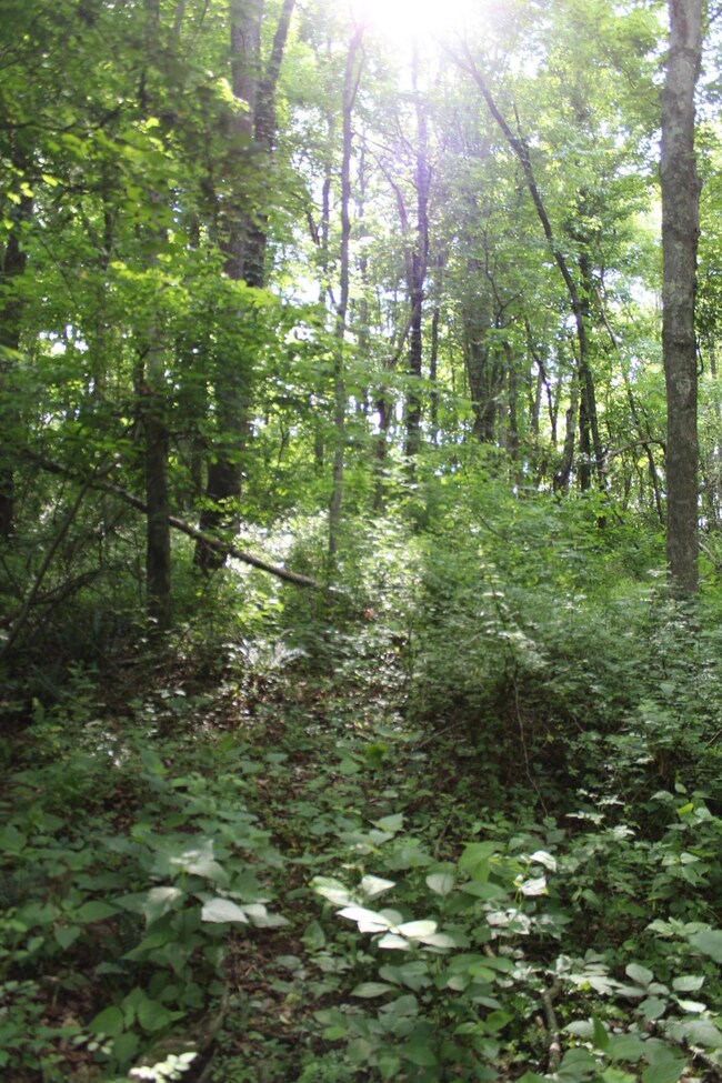 Front hill