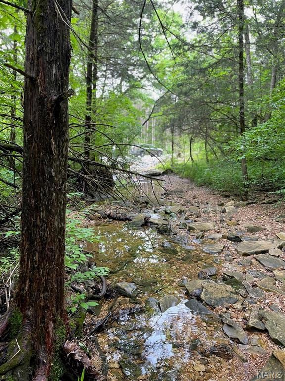 2244 Liberty Crossing Trail, Hillsboro, MO 63050 - photo 4