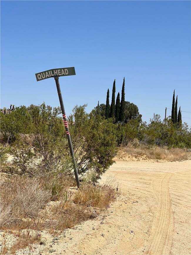 0 Backus Rd Quailhead Rd unit SR23215491, Mojave, CA 93501 - photo 2