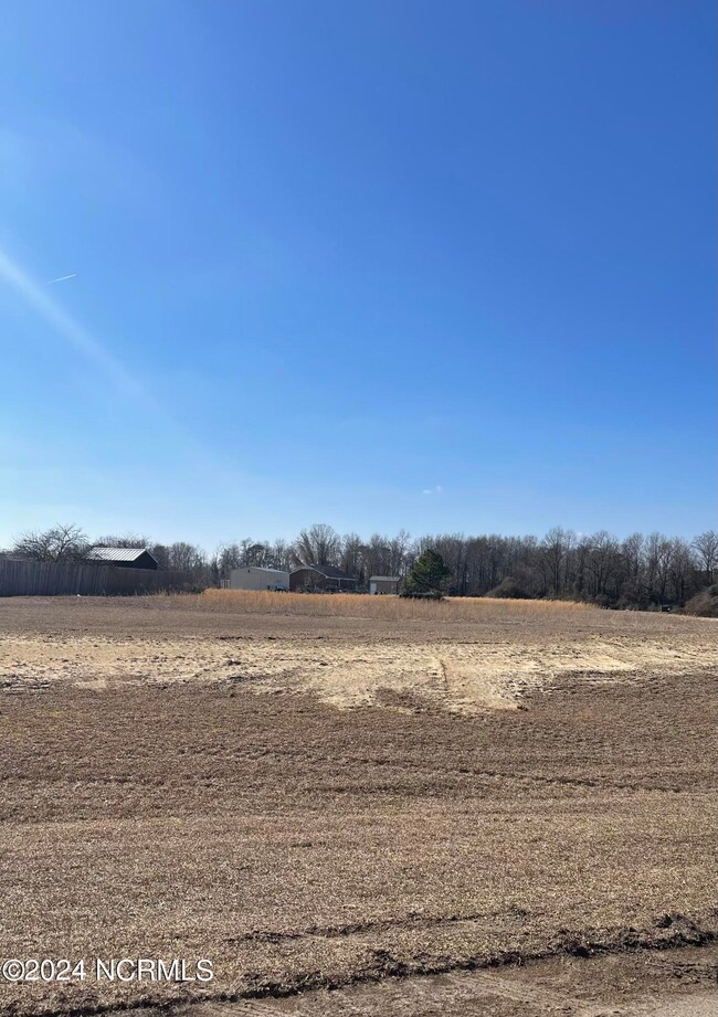 13 Aspen Ridge Ct, Deep Run, NC 28525 - photo 3