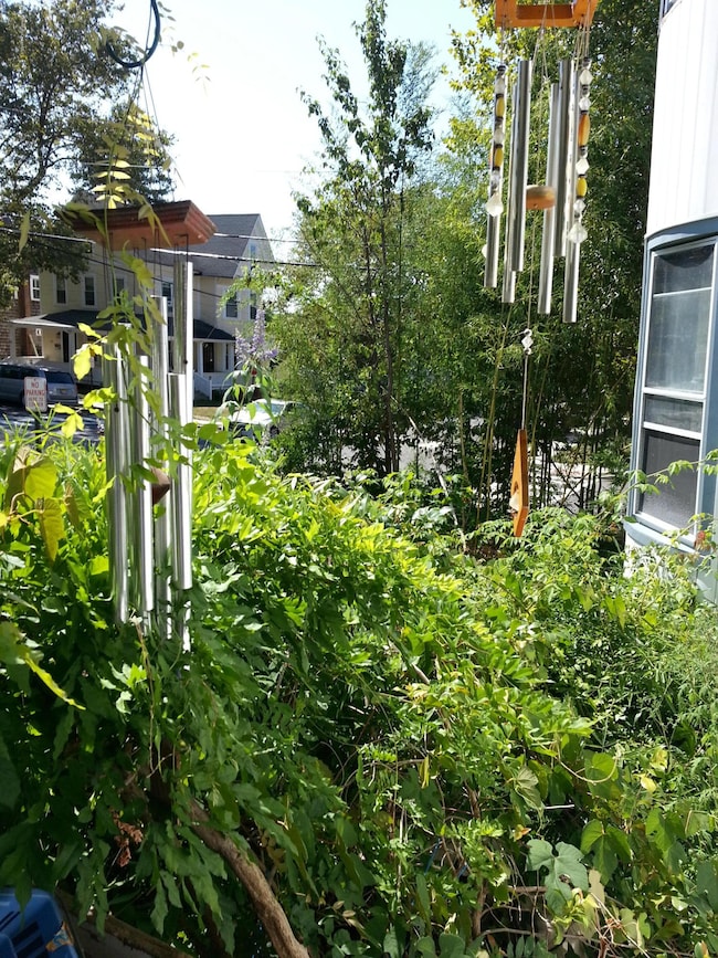 Neighborhood View