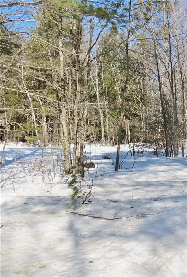 3 Commonwealth Ave, Ludlow, VT 05149 - photo 5