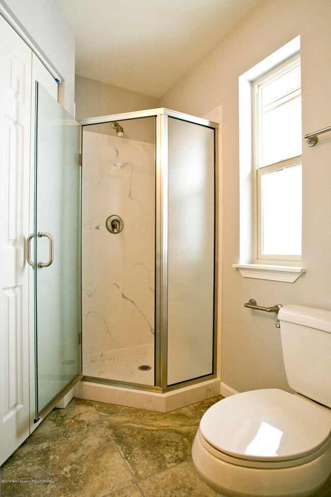 Lower level bathroom