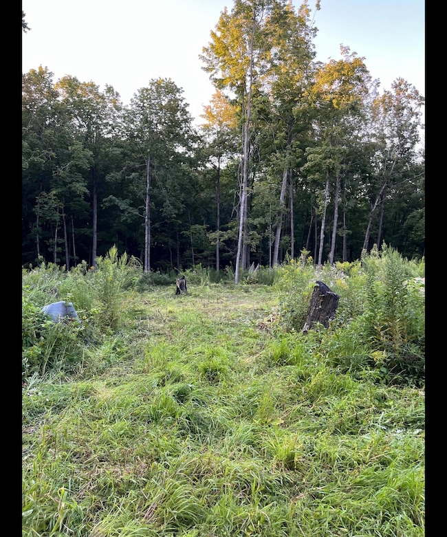 TBD Tbd, Mazeppa Township, MN 55956 - photo 7