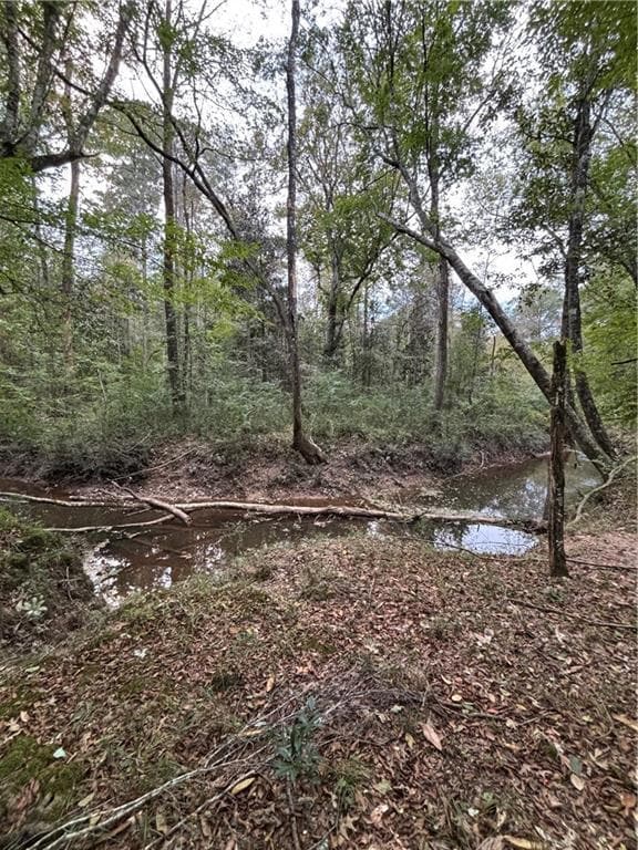 350 Walker Gravel Pit Rd, Dry Prong, LA 71423 - photo 5