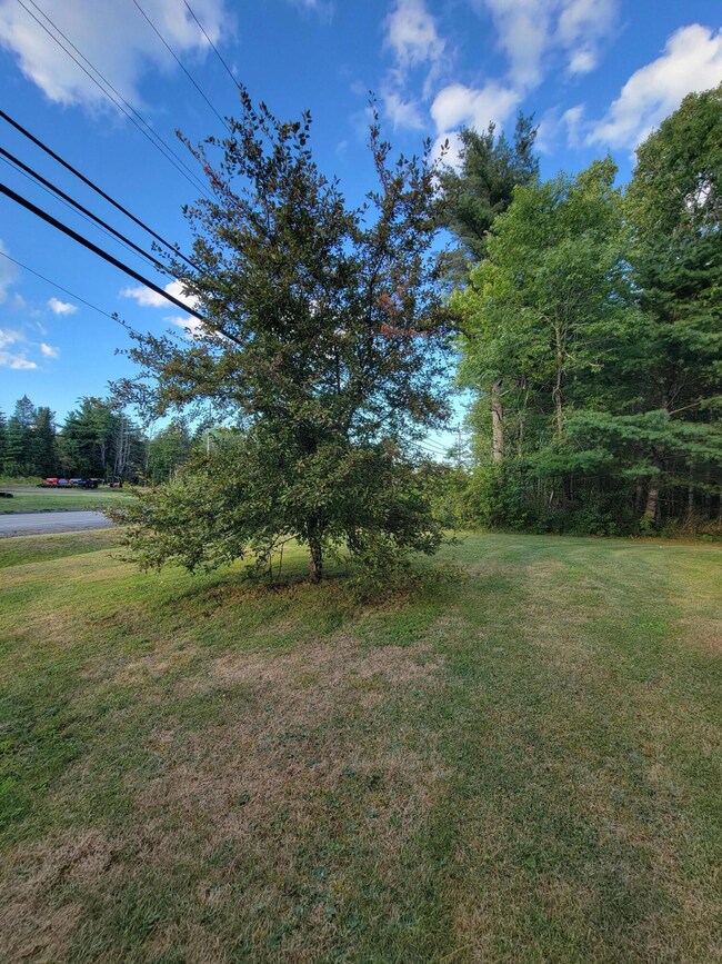 296 U S Route 1, Princeton, ME 04668 - photo 5