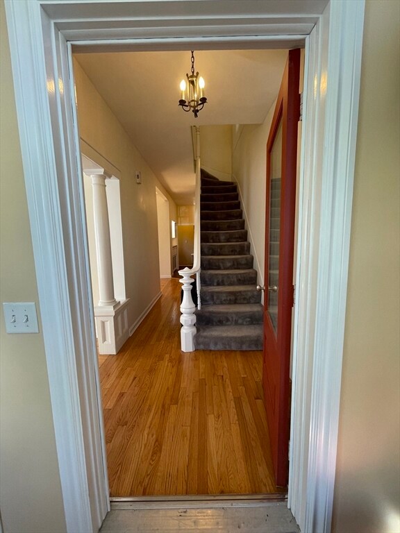 45 Newbury St, Somerville, MA 02144 - photo 5