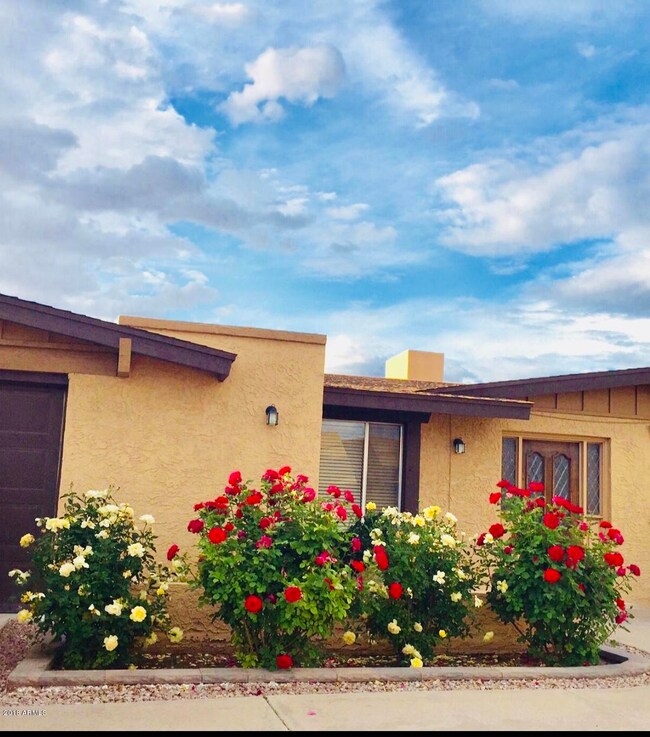 0BFE1196-BE26-4269-A717-097C58A68BC2