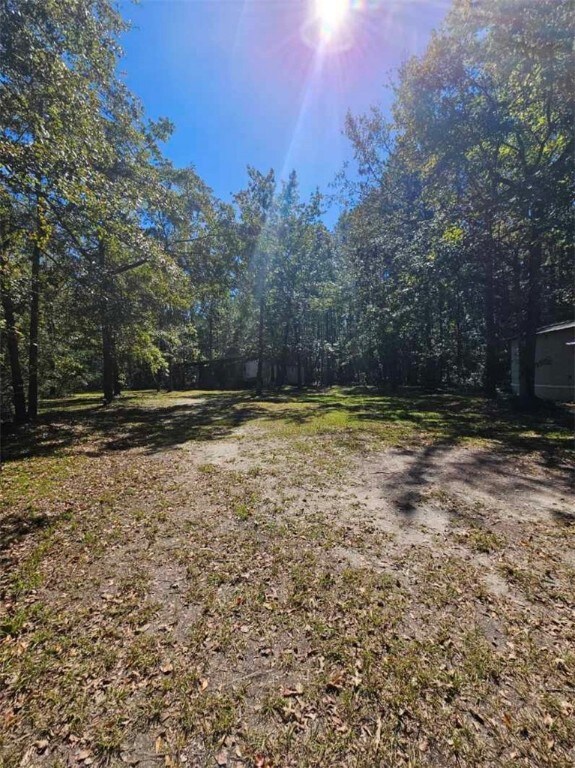 3747 Belle Hammock Rd NE, Townsend, GA 31331 - photo 4