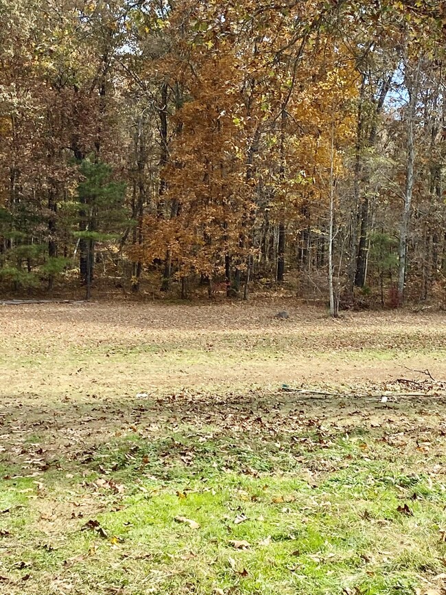 259 Brandontown Rd, Manchester, TN 37355 - photo 3