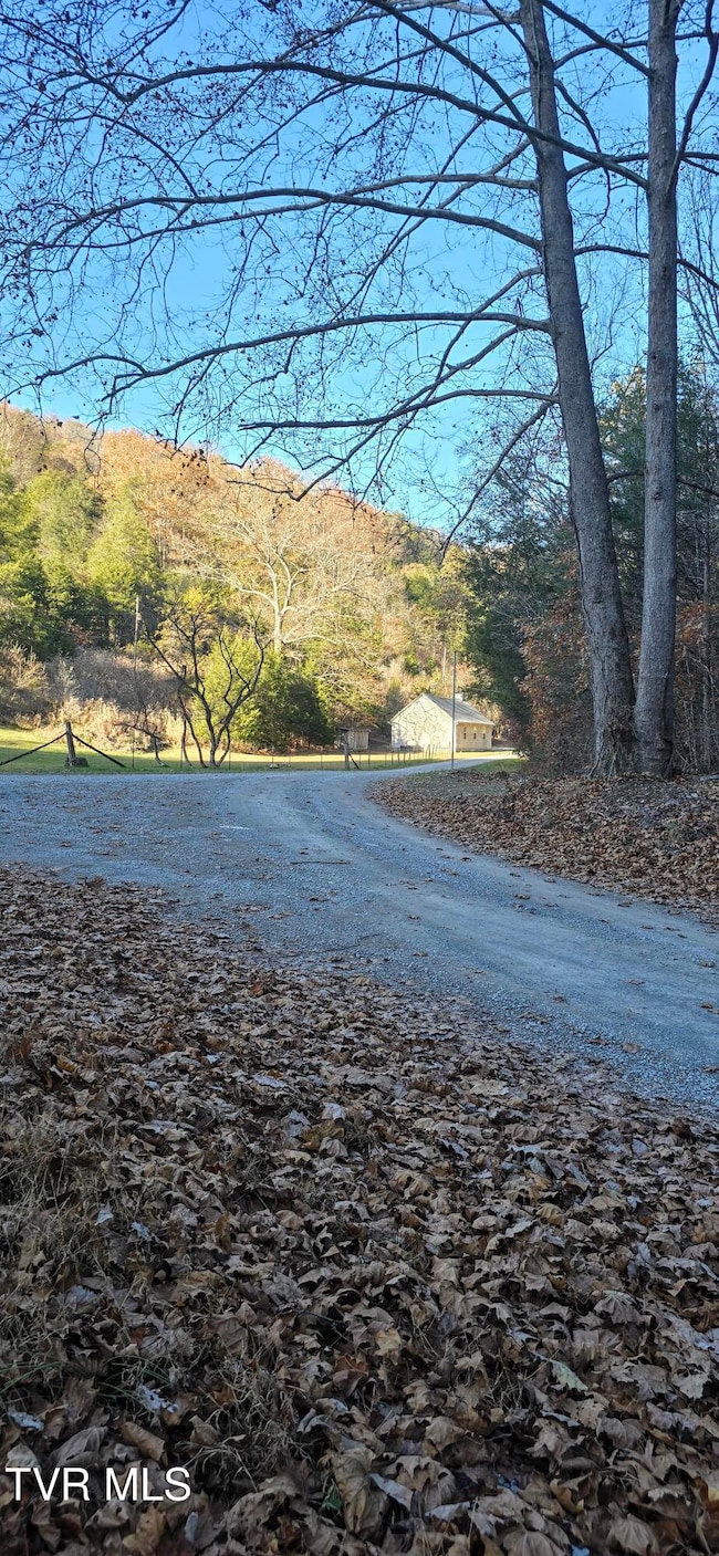 2351 Line Rd, Eidson, TN 37731 - photo 3