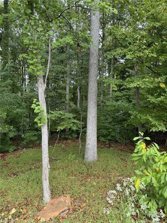 721 Surrey Path Trail, Winston-Salem, NC 27104 - photo 2