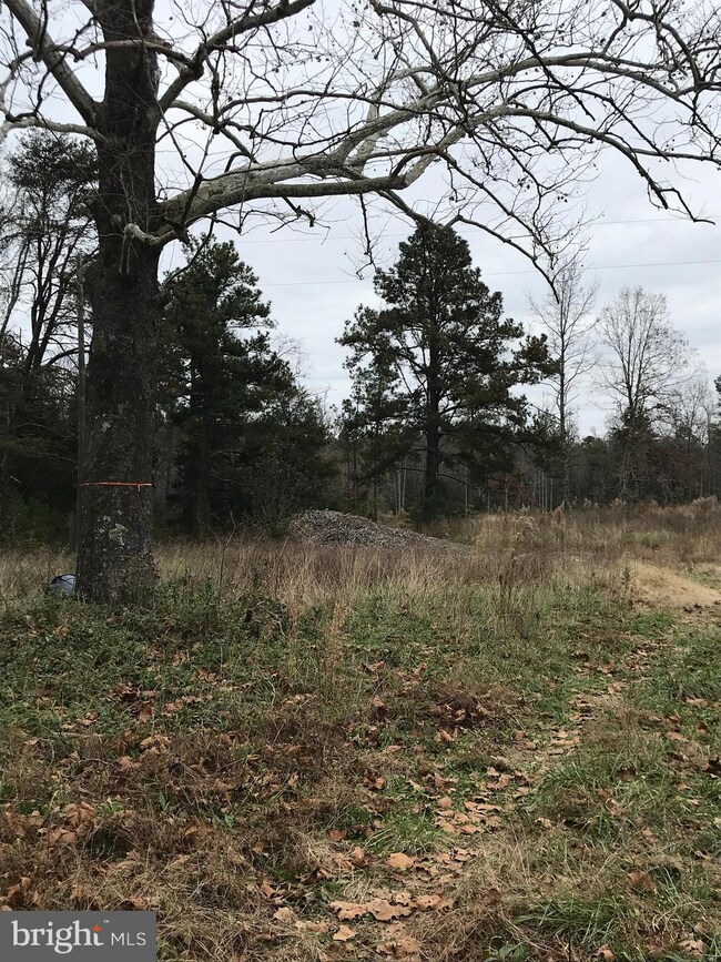 6120 Mt Airy Dr, Ruther Glen, VA 22546 - photo 3