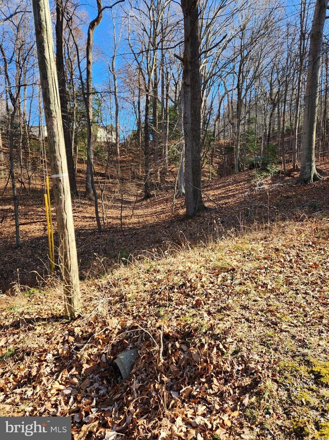 Lot 72 Plantation, Montross, VA 22520 - photo 3