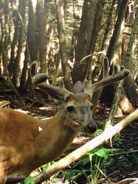 0 E 1st St, Custer, MI 49405 - photo 5