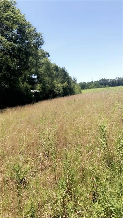 0 Brumfield Rd, Franklinton, LA 70438 - photo 2