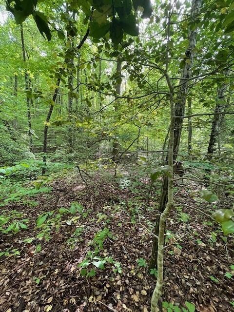 0 Mccormick Dr unit 7568882, Dawsonville, GA 30534 - photo 6