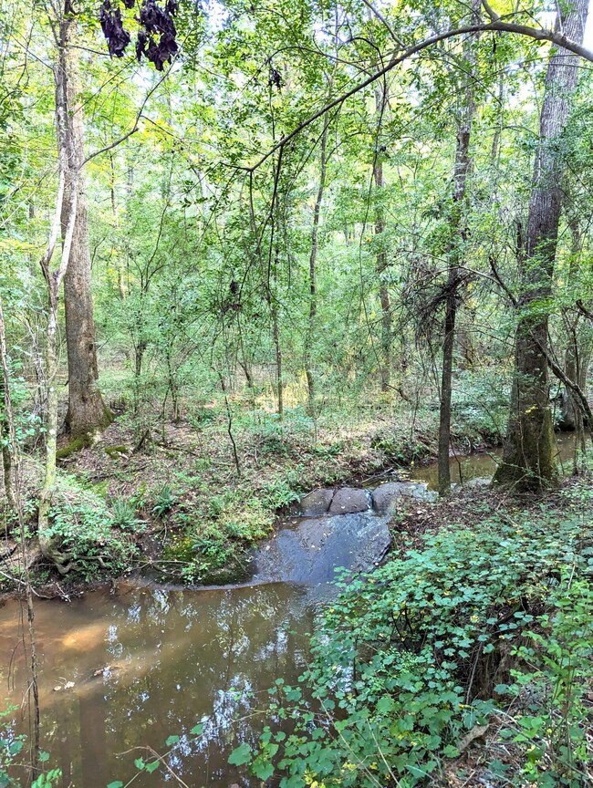 Creek