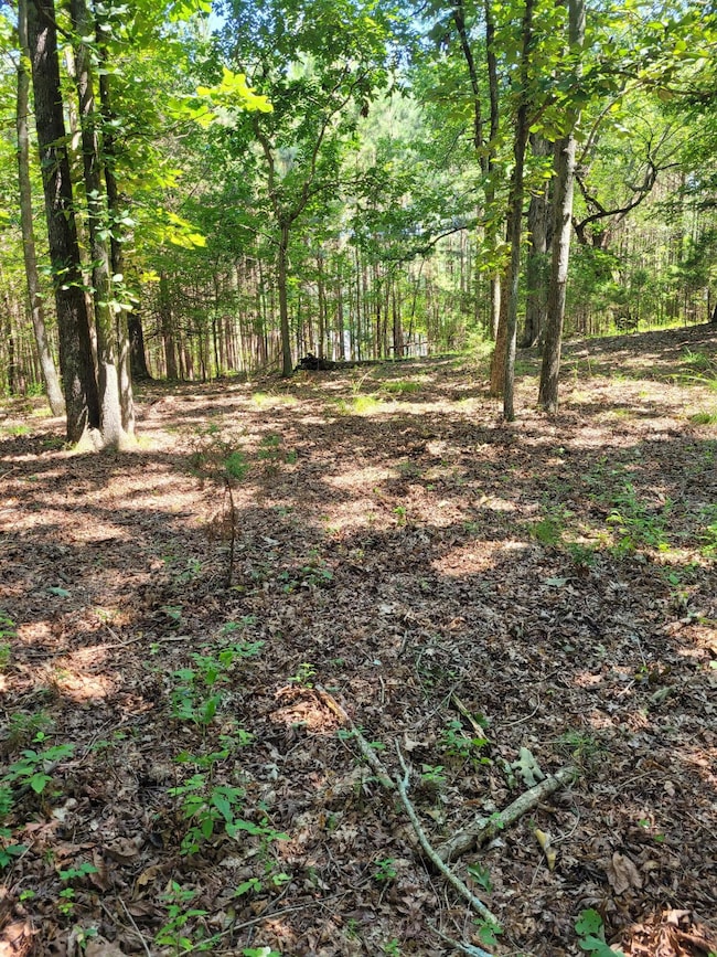 7000 Three Notch Rd, Ringgold, GA 30736 - photo 7