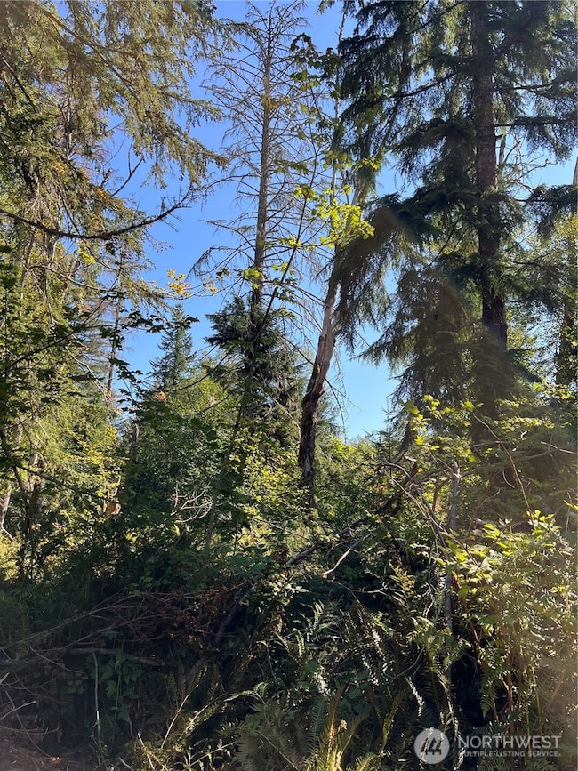 0 Cascade Ln unit NWM2459621, Eatonville, WA 98328 - photo 3
