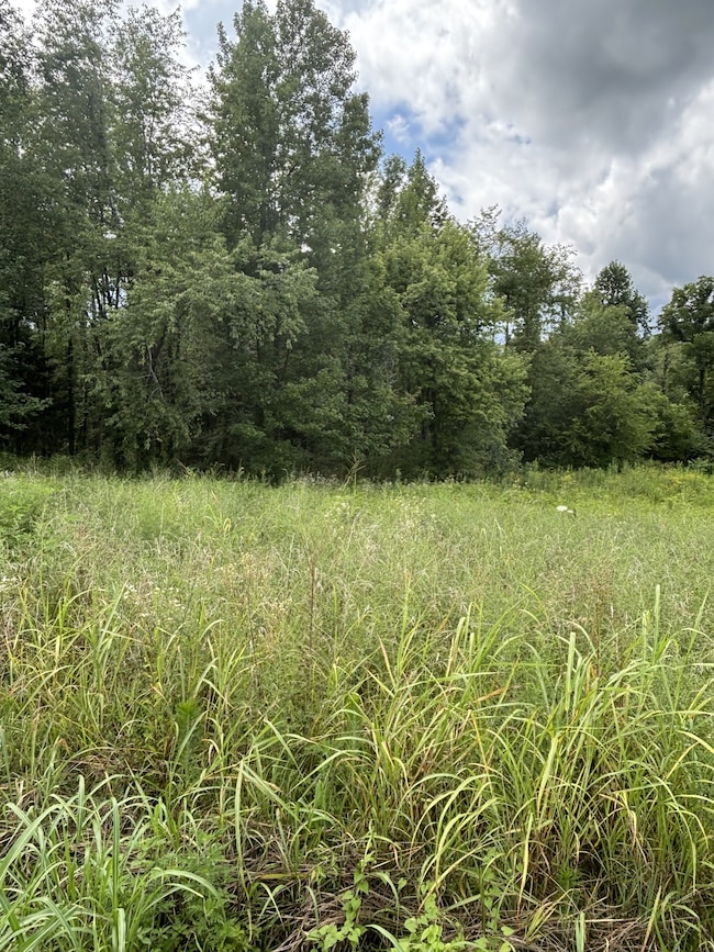 0 Fredonia Rd unit RTC2945295, Manchester, TN 37355 - photo 5