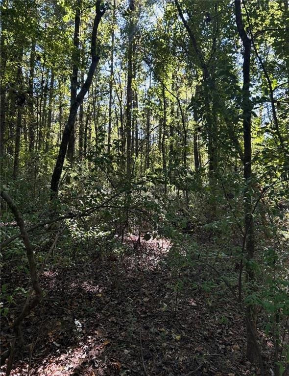 727 Musgrove Rd, Griffin, GA 30223 - photo 6