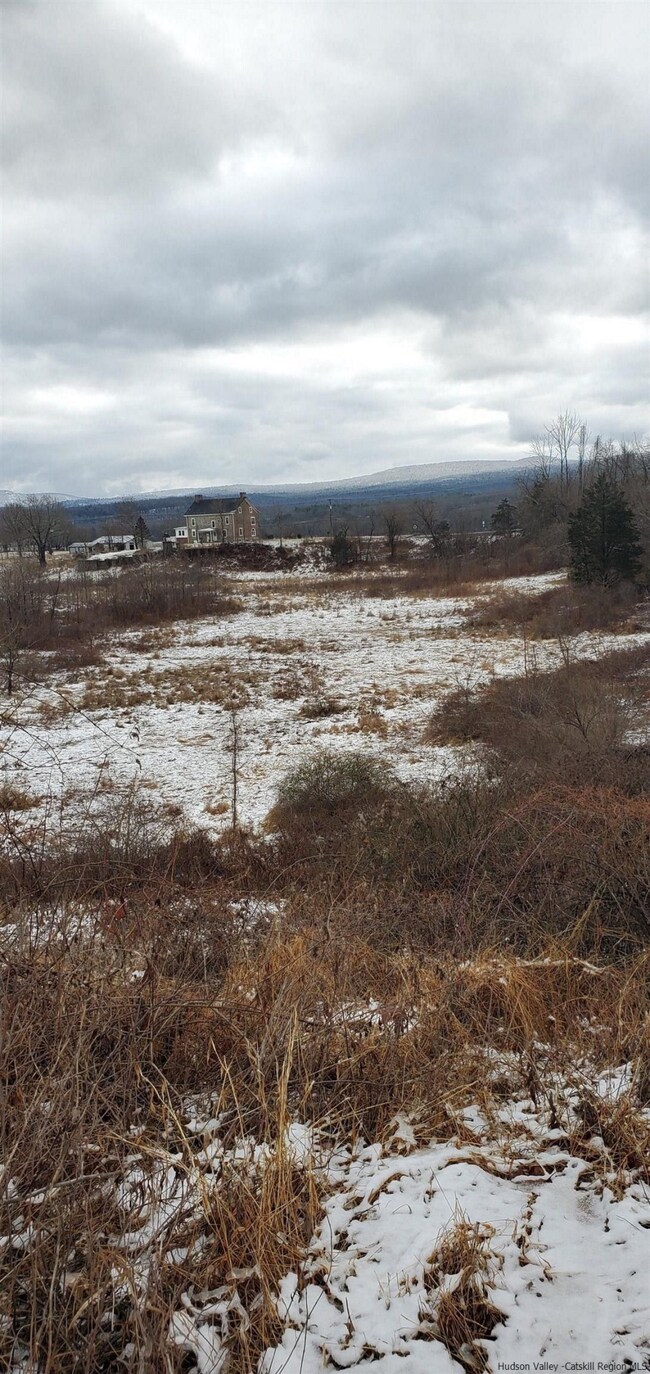 Lower meadow