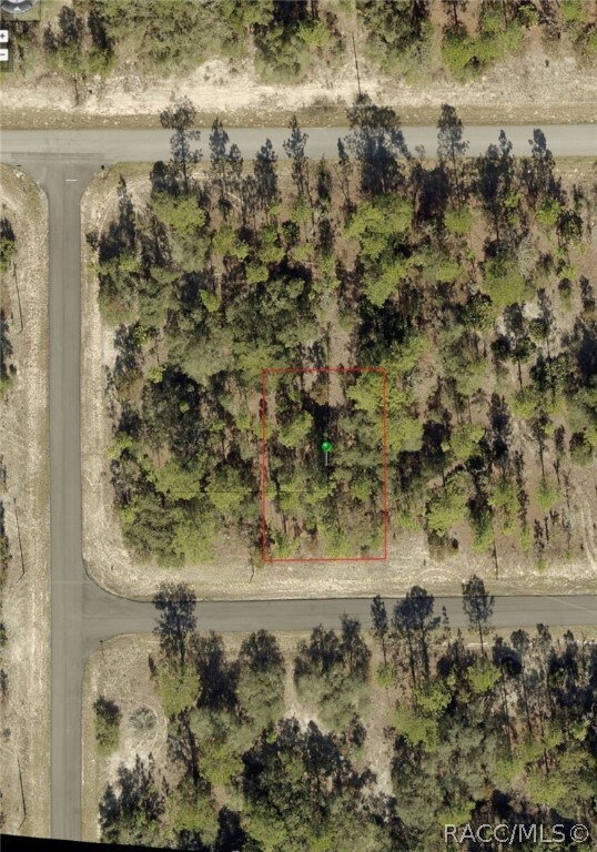 2881 W Huron Ln, Citrus Springs, FL 34433 - photo 5