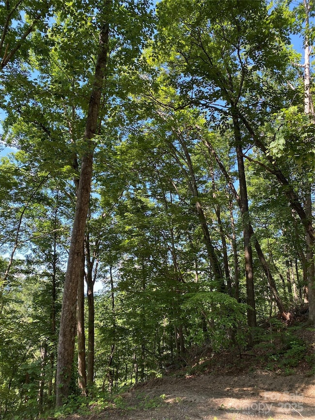 0 Winesap Blvd unit 81 CAR4297611, Lake Lure, NC 28746 - photo 4