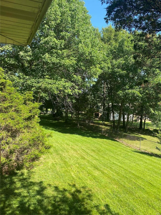 Beautiful back yard